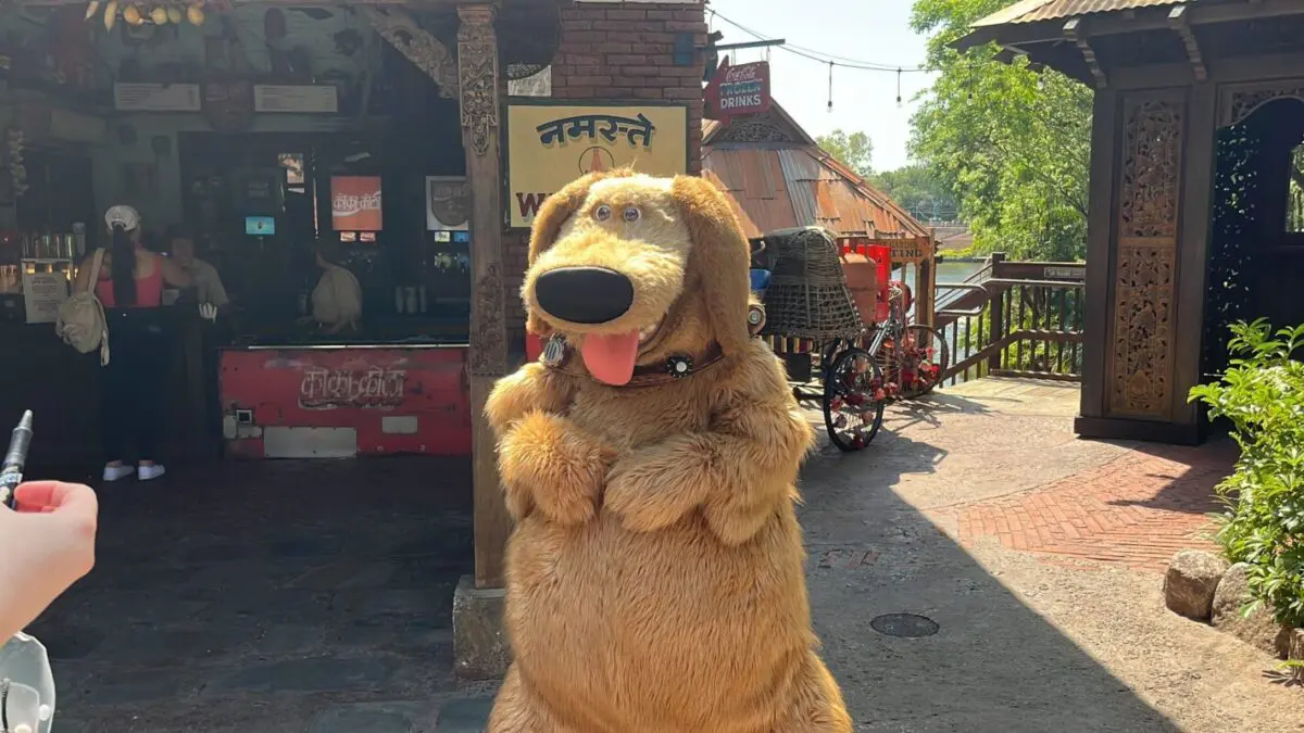 Dug From 'Up' Makes Disney Debut at Animal Kingdom