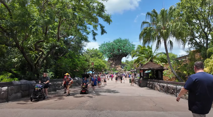 Disney's Animal Kingdom