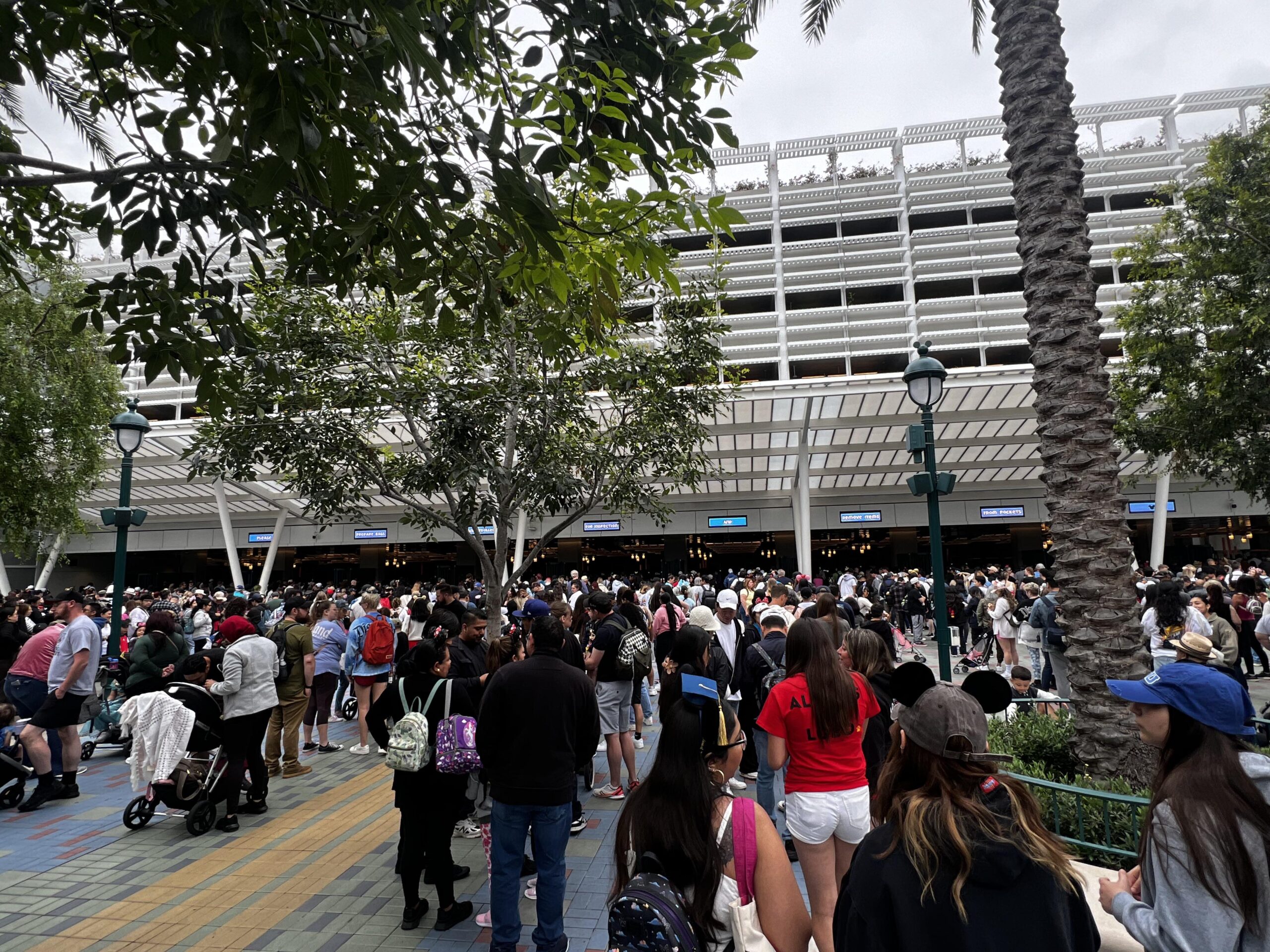 Disneyland Disaster: Frustrated Families Amid Security Line Chaos