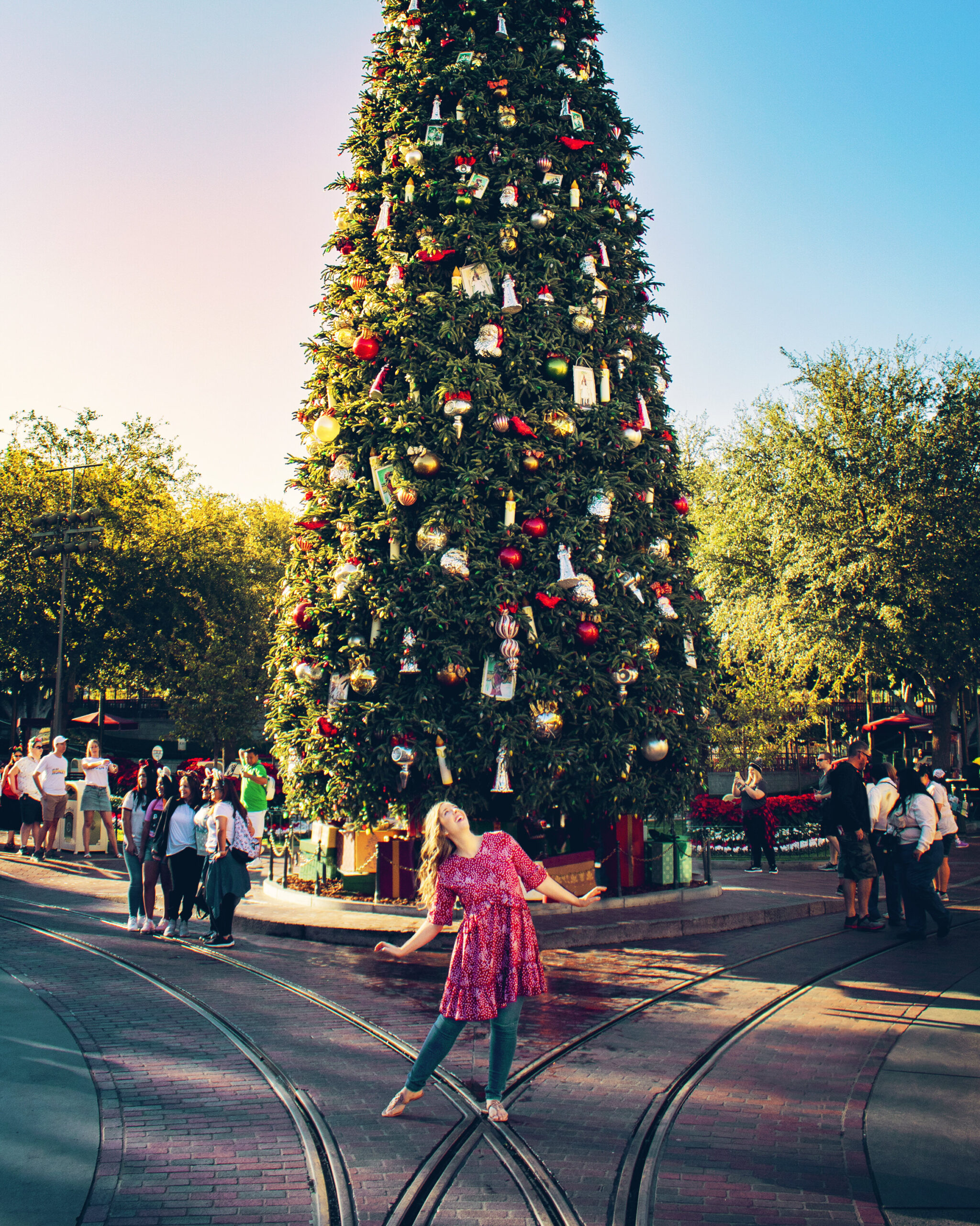 Disneyland Christmas Tree Photopass
