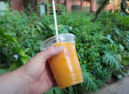 Frozen POG Juice at Animal Kingdom