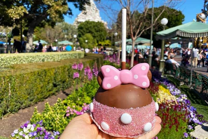 Candy Apples at Disneyland Resort