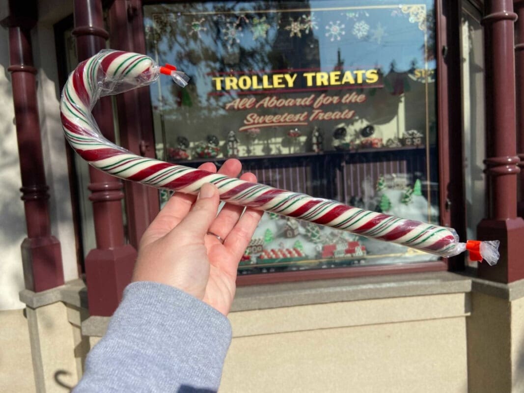 Disneyland Candy Canes